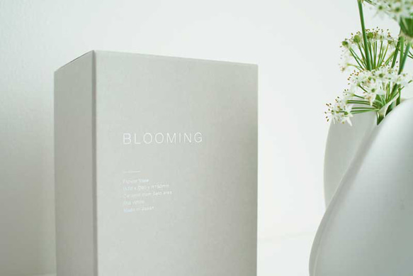 Blooming Flower Vase 第11張的照片