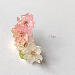 《Mami.t》  2色の桜イヤーカフ（片耳） 1枚目の画像