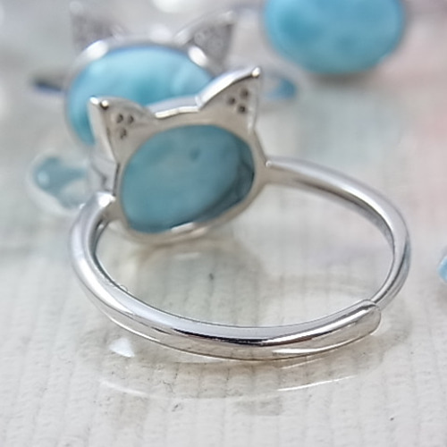 石垣島のTNR令和7年度受付開始 | Cat nursery Larimar 猫の保育
