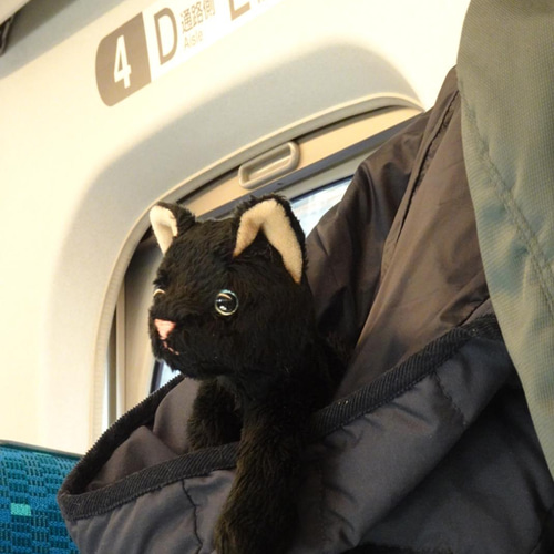 青目の黒猫(1.5ヶ月以内で発送） ぬいぐるみ Stepping-Dogs 通販
