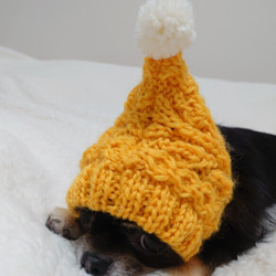 新作♪ 手編み ◆ ボタニカルな アラン の スヌード ◆ 小型犬 ウエア ニット帽 チワワ  イタグレ ミニピン 犬 1枚目の画像