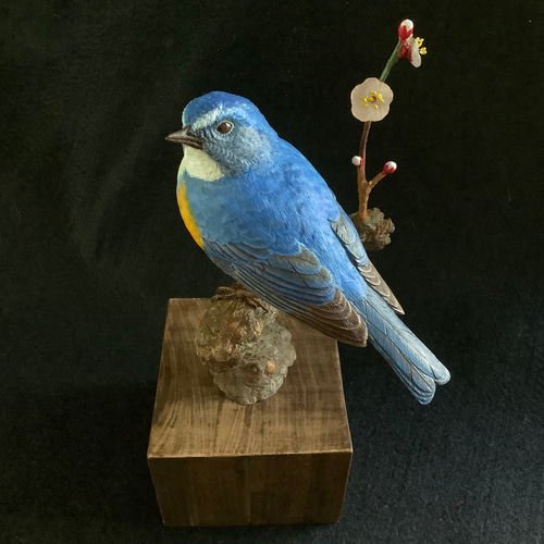 キビタキ 木彫りの野鳥 バードカービング 野鳥彫刻 (バード キビタキ 木彫りの野鳥 バードカービング 野鳥彫刻 (バード