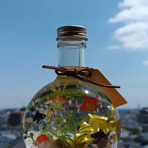 特集掲載】受注制作 金魚鉢の中で泳ぐ金魚たちLサイズ ハーバリウム