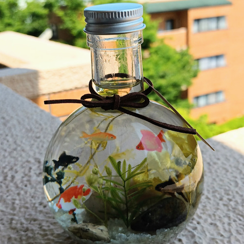 特集掲載】受注制作 金魚鉢の中で泳ぐ金魚たちLサイズ ハーバリウム