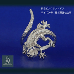 最上質 トカゲ の 指輪{銀のトカ1~30号OK 人気リング 宝石指定 両目に宝石 セット 蜥蜴 生命 躍動感 シルバー 8枚目の画像