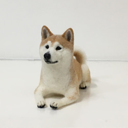 【受注制作】羊毛フェルト　柴犬　犬　ペット作ります オーダーメイド　愛犬　羊毛フエルト 9枚目の画像