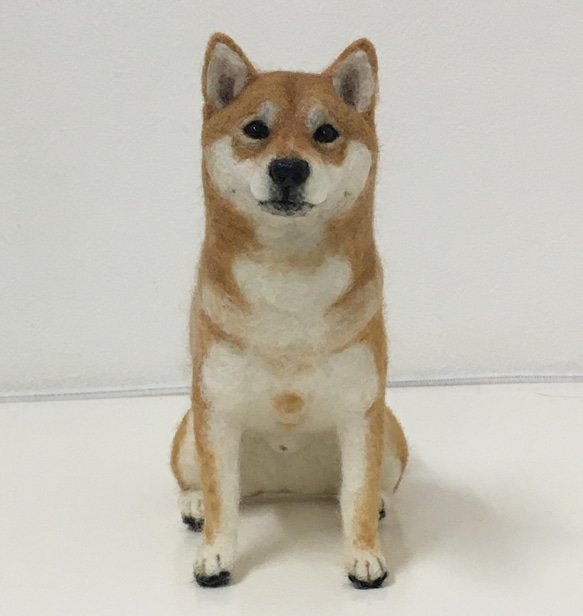 【受注制作】羊毛フェルト　柴犬　犬　ペット作ります オーダーメイド　愛犬　羊毛フエルト 4枚目の画像