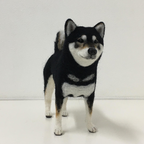 羊毛フェルト オーダー 犬 柴犬 - メルカリ