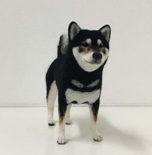 【受注制作】羊毛フェルト　柴犬　犬　ペット作ります オーダーメイド　愛犬　羊毛フエルト 5枚目の画像