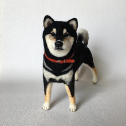 【受注制作】羊毛フェルト　柴犬　犬　ペット作ります オーダーメイド　愛犬　羊毛フエルト 7枚目の画像