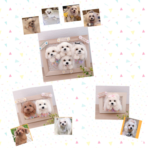 受注制作】額縁わんこ うちの子セミオーダー♡MII WOOL 受注制作】額縁わんこ うちの子セミオーダー♡MII WOOL
