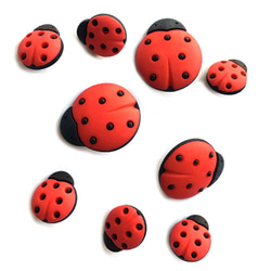 ボタンガローア ボタン9個セット てんとう虫マット 入園入学 昆虫