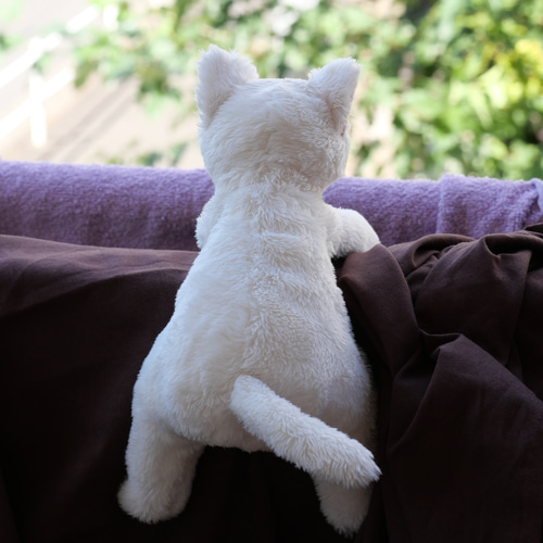 オッドアイ♡真っ白子猫ちゃん♡アートドール♡ぬいぐるみ♡ オッドアイ♡真っ白子猫ちゃん♡アートドール♡ぬいぐるみ