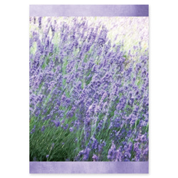 『Flyaway Lavender』レターセット 3枚目の画像
