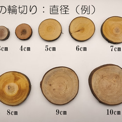 【10枚セット】桜 木の輪切り／スライス　直径３cm　厚み1cm 2枚目の画像