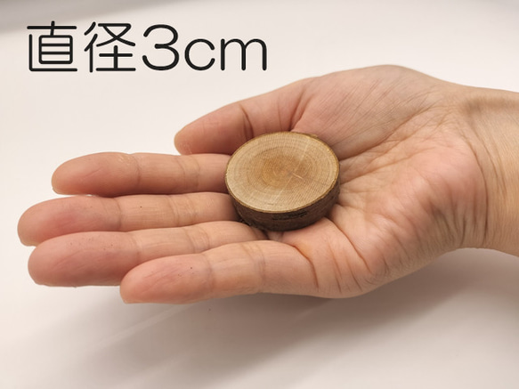 【10枚セット】桜 木の輪切り／スライス　直径３cm　厚み1cm 1枚目の画像