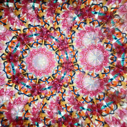 万華鏡『フラワーポッド』ドライフラワー千日紅 花 /red 赤 4枚目の画像