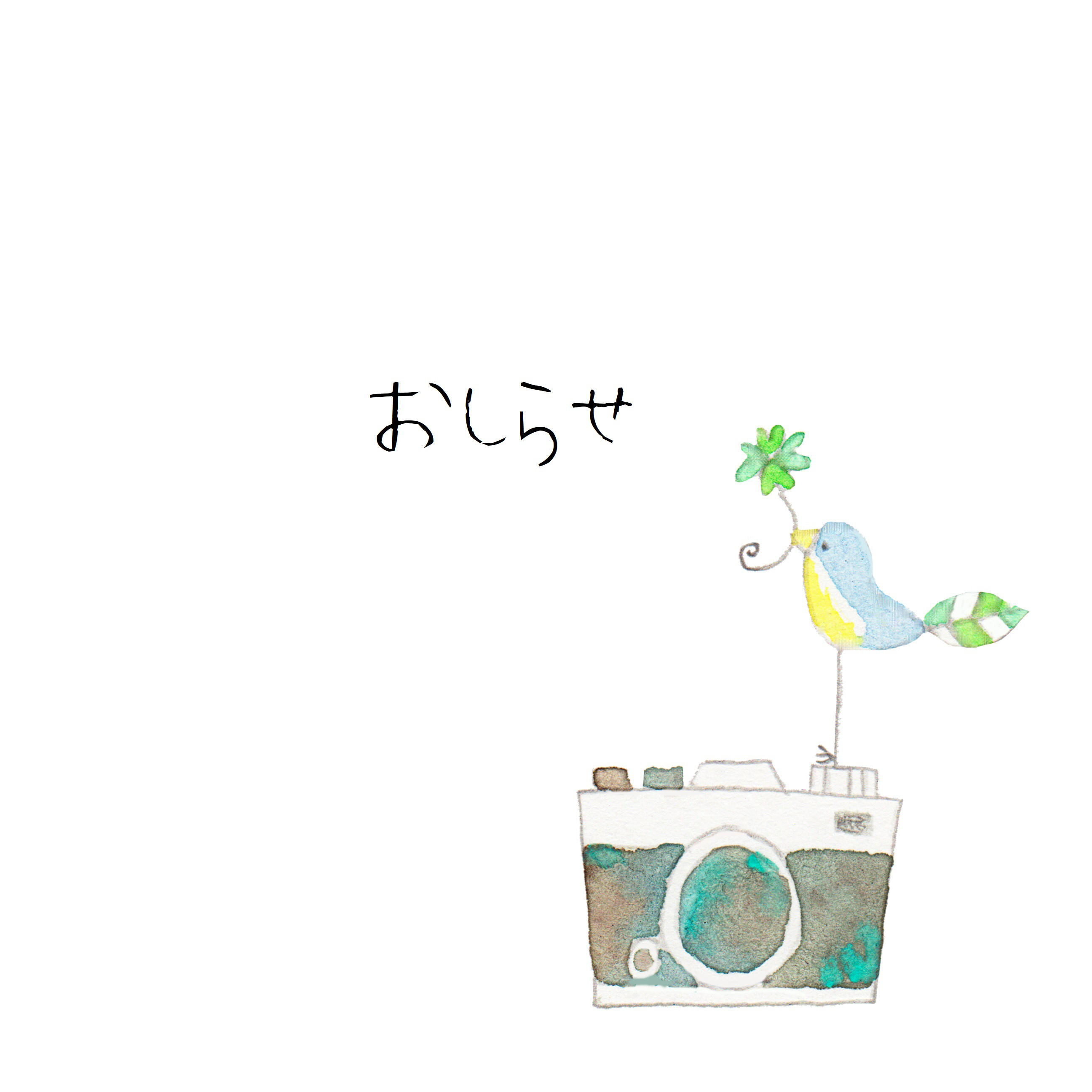 お知らせ✨　12/5更新