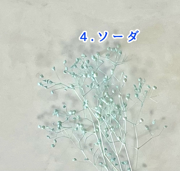 ミニかすみ草　　たっぷり2g 5枚目の画像