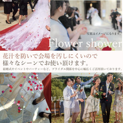 フラワーシャワー 約1000枚 結婚式 ウェディング 造花 花びら たっぷり 5色 青 白【ロイヤルブルー】 6枚目の画像
