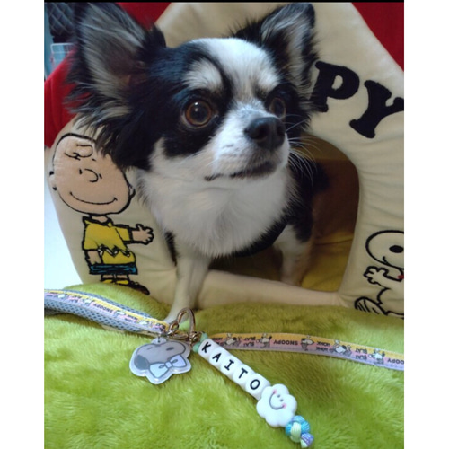 ネームチャーム♡キーホルダー♡パラコード☆名入れ キーリング