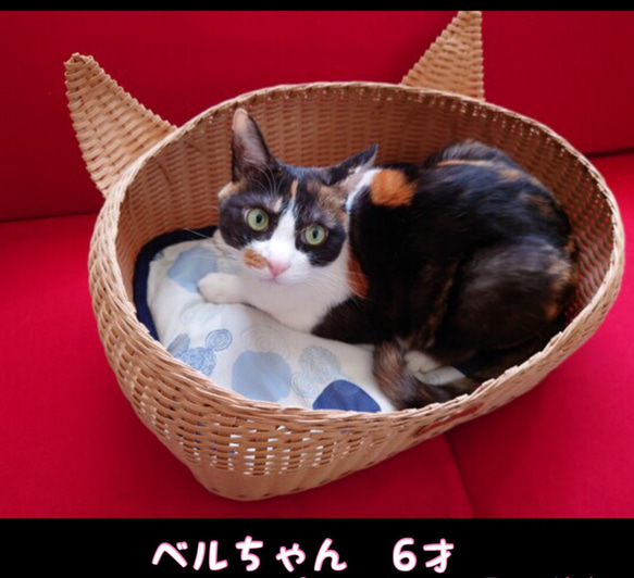 ❣️どこに置いても可愛い❣️ニャンとも可愛い耳付き猫カゴ
