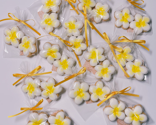 *old arabia ❀ tuulikki アイスブルーのお花 プレートset old arabia ❀ tuulikki アイスブルーのお花 プレートset