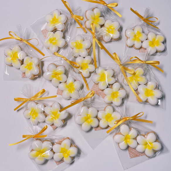 ミニサイズのプルメリア2つ入り(お花のアイシングクッキー)10袋