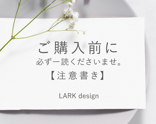 Nポルダ専用ページ　ご購入前に一読ください 301625ae06243ba0274111a4329f42