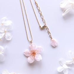 【受注制作】Everpink. 本物のお花　厳選花で仕上げる桜と花びらのネックレス/ロングネックレス/ペンダント 3枚目の画像