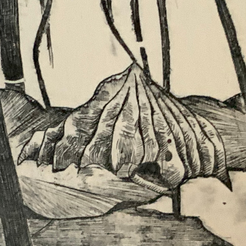 水上葉 蓮】 銅版画額装 絵画 atelier clip 通販 7147128