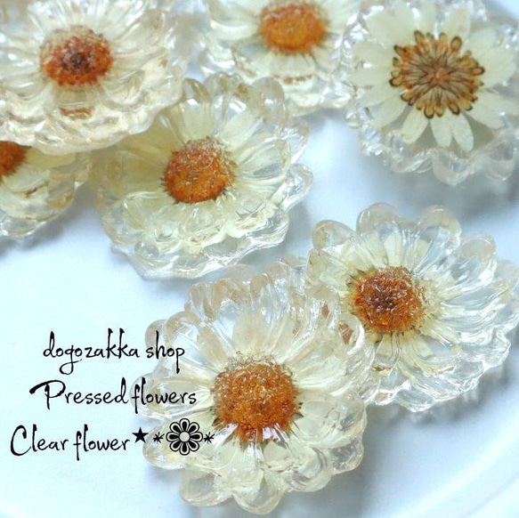 8個☆B品SALE！押し花入りクリアフラワー クリア部分に黄変あり 