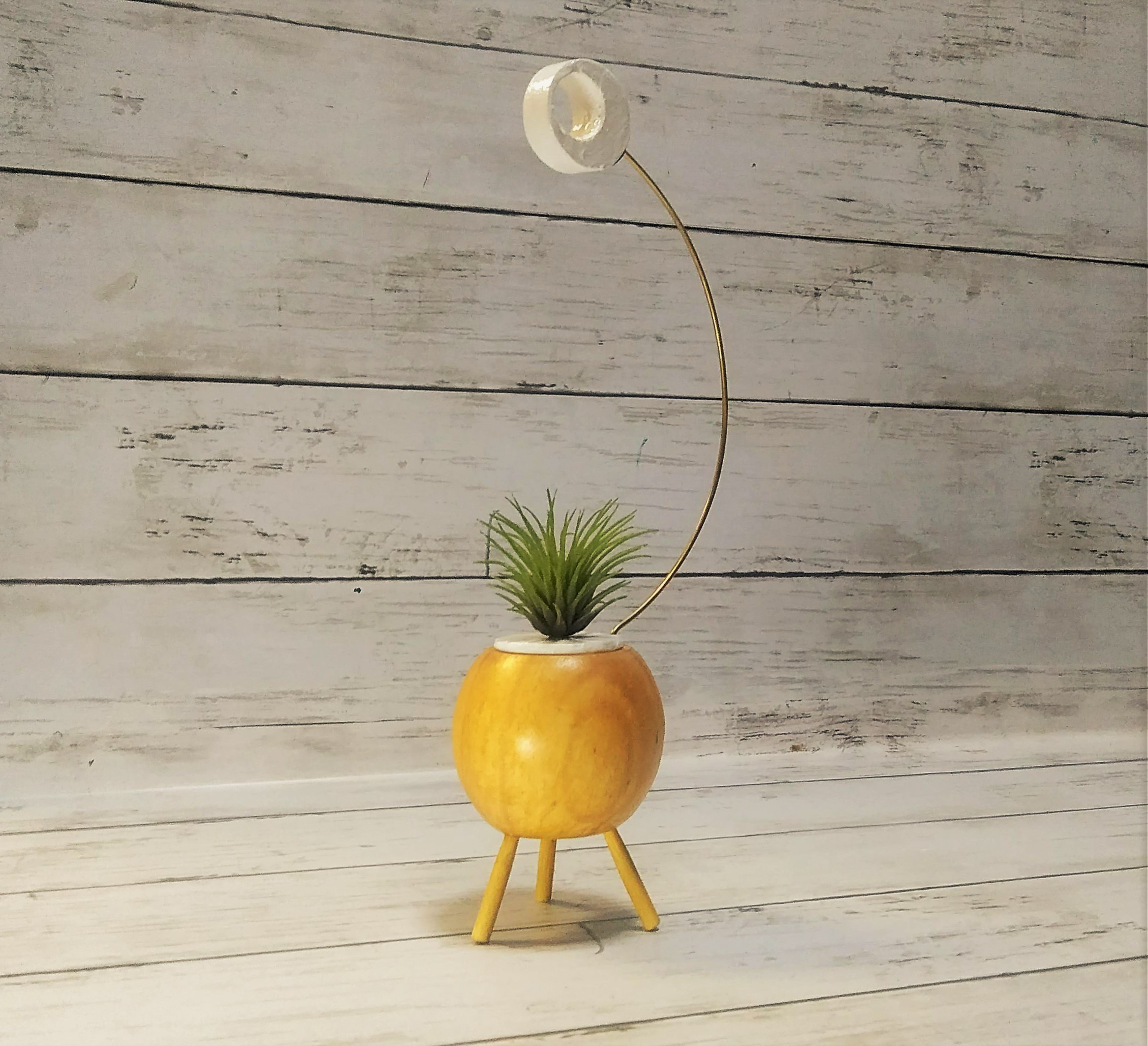 Greenpod on the moon