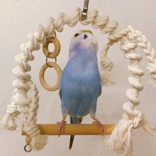 鳥ブランコおまとめ リメイク &