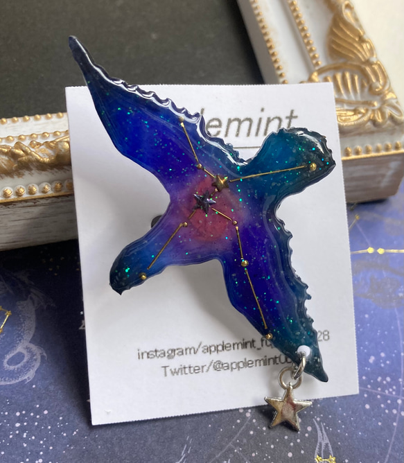 星座のブローチ わし座 アルタイル ブローチ applemint 通販 7177024