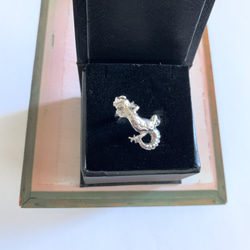 お目めがルビーヒョウモントカゲモドキの指輪 10枚目の画像