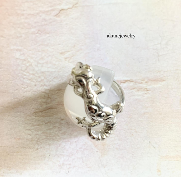 お目めがルビーヒョウモントカゲモドキの指輪 3枚目の画像