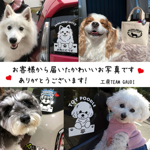 オーダー表札　ヨークシャテリア　お見本 デザイン表札ドットコム｜ヨーキーのシルエットと顔をデザイン