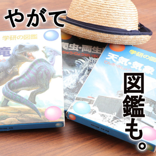 W91cmLX-T 絵本棚 Maple poppo 大容量 収納 完成品 子ども 本棚 絵本