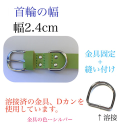 もっと幅広2.4cm イタグレ ミニピンにも 優しいつけ心地 本革 犬 革 首輪 迷子札つき レザー 2枚目の画像