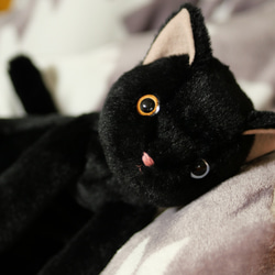 抱っこしたい黒猫(2ヶ月以内で発送)＊耳内等の色を選べます＊目の色を選べます 7枚目の画像