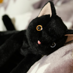 抱っこしたい黒猫(1.5ヶ月以内で発送)＊耳内等の色を選べます＊目の色を選べます 7枚目の画像