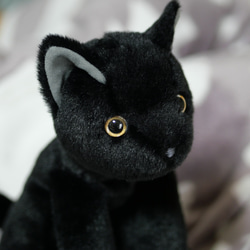 抱っこしたい黒猫(2ヶ月以内で発送)＊耳内等の色を選べます＊目の色を選べます 6枚目の画像