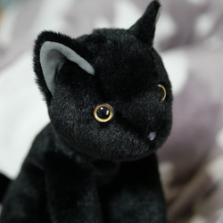 抱っこしたい黒猫(1.5ヶ月以内で発送)＊耳内等の色を選べます＊目の色を選べます 6枚目の画像