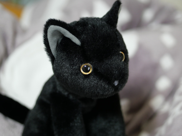 抱っこしたい黒猫(2ヶ月以内で発送)＊耳内等の色を選べます＊目の色を選べます 6枚目の画像