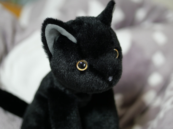 抱っこしたい黒猫(1.5ヶ月以内で発送)＊耳内等の色を選べます＊目の色を選べます 6枚目の画像
