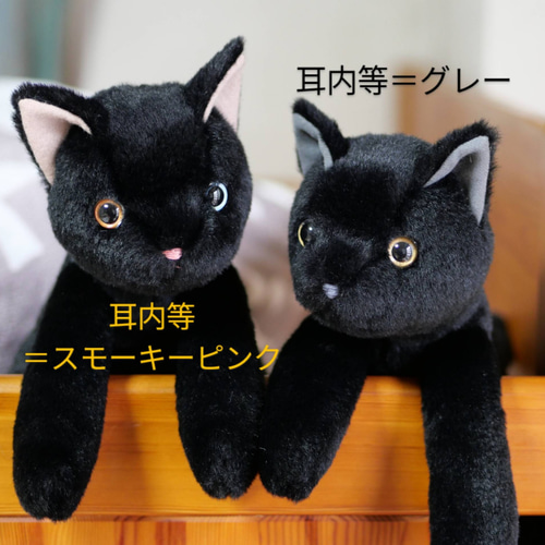 抱っこしたい黒猫(1.5ヶ月以内で発送)＊耳内等の色を選べます＊目の色