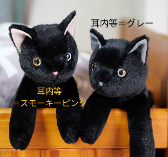 抱っこしたい黒猫(2ヶ月以内で発送)＊耳内等の色を選べます＊目の色を選べます 9枚目の画像