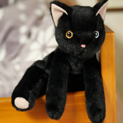 抱っこしたい黒猫(1.5ヶ月以内で発送)＊耳内等の色を選べます＊目の色を選べます 3枚目の画像