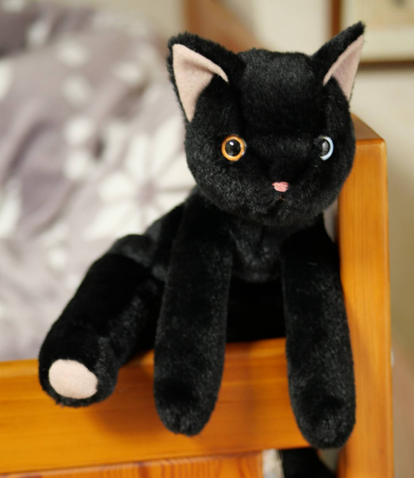 抱っこしたい黒猫(2ヶ月以内で発送)＊耳内等の色を選べます＊目の色を選べます 3枚目の画像